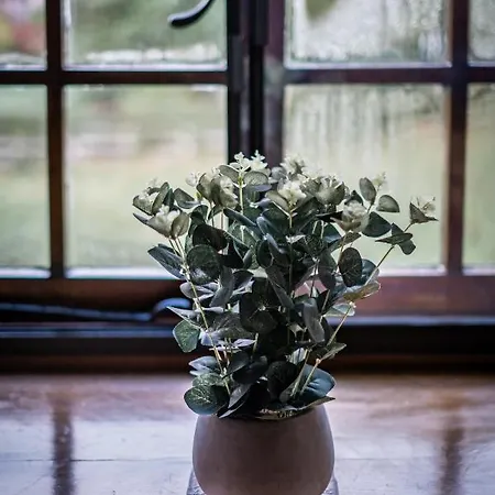 Luxury 1 Bed - Great Location - Peaceful-hot Tub באונס-און-ווינדרמיר