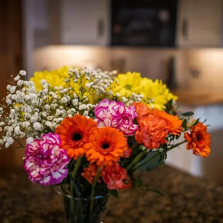 Luxury 1 Bed - Great Location - Peaceful-hot Tub Villa